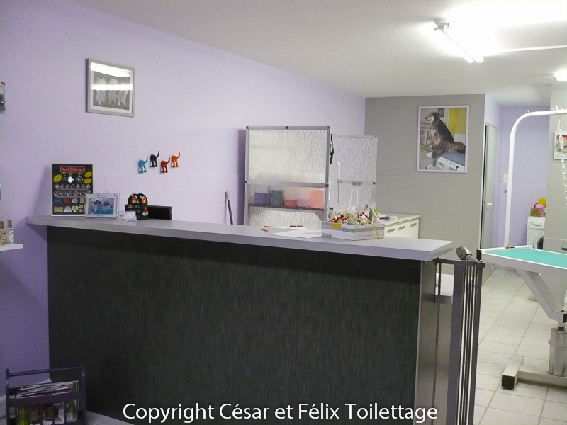 Salon César et Félix Toilettage