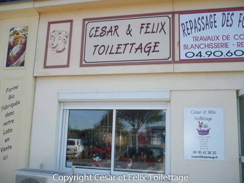 Salon César et Félix Toilettage