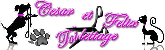 Logo — César et Félix Toilettage